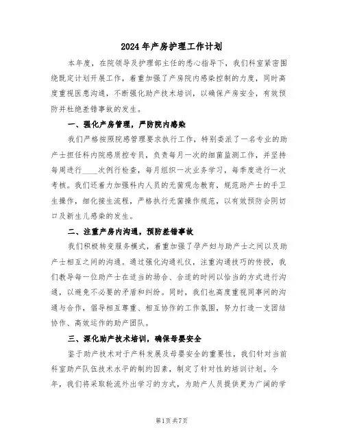2024年产房护理工作计划（4篇）