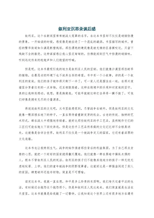 叙利亚沉思录读后感