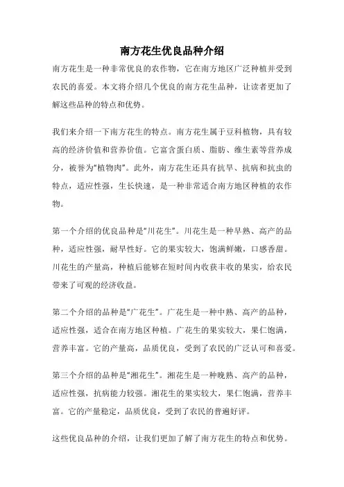 南方花生优良品种介绍