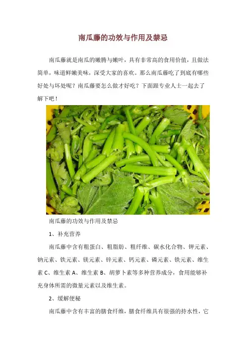 南瓜藤的功效与作用及禁忌