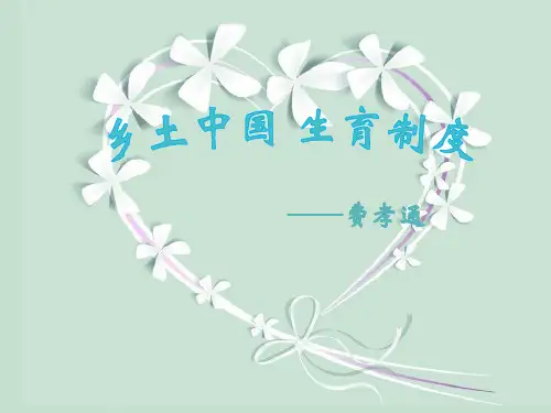 乡土中国生育制度