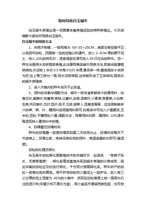 如何饲养白玉蜗牛