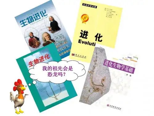 现代生物进化理论的主要内容
