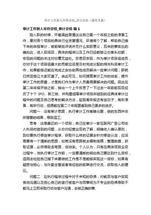 审计工作新人年终总结_审计总结（通用5篇）