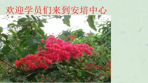 培训：矿山供电安全课件