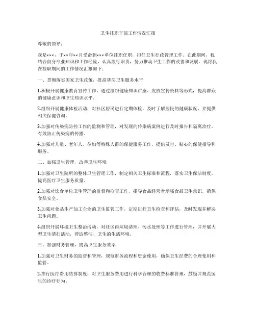 卫生挂职干部工作情况汇报