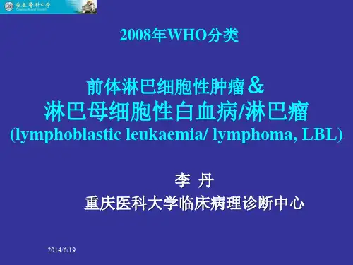 2008-恶性淋巴瘤-LBL- 病理学课件