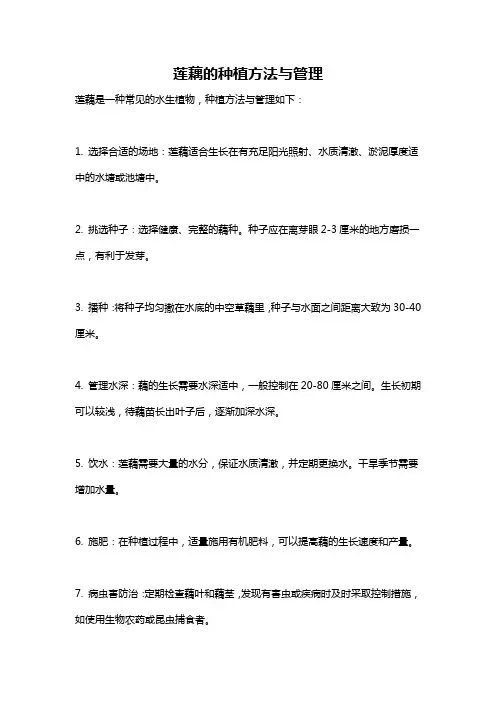 莲藕的种植方法与管理