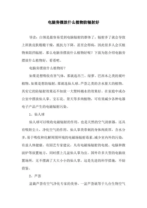 电脑旁摆放什么植物防辐射好