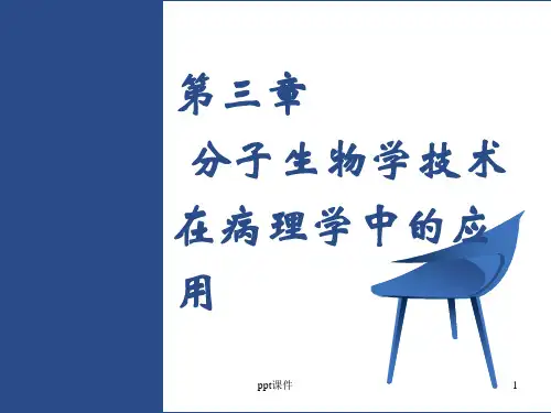 分子生物学技术在病理学中的应用  ppt课件