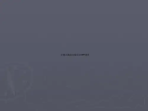 早期大肠癌内镜诊治 PPT课件