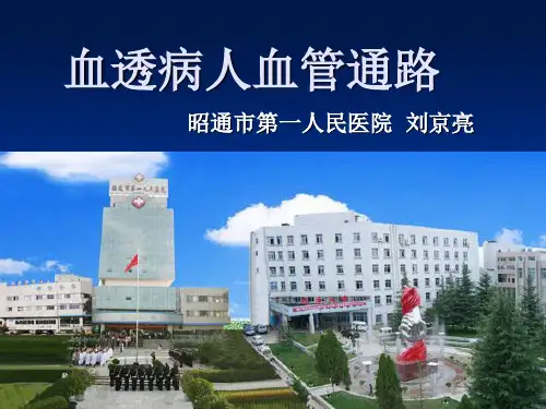血透病人血管通路.ppt