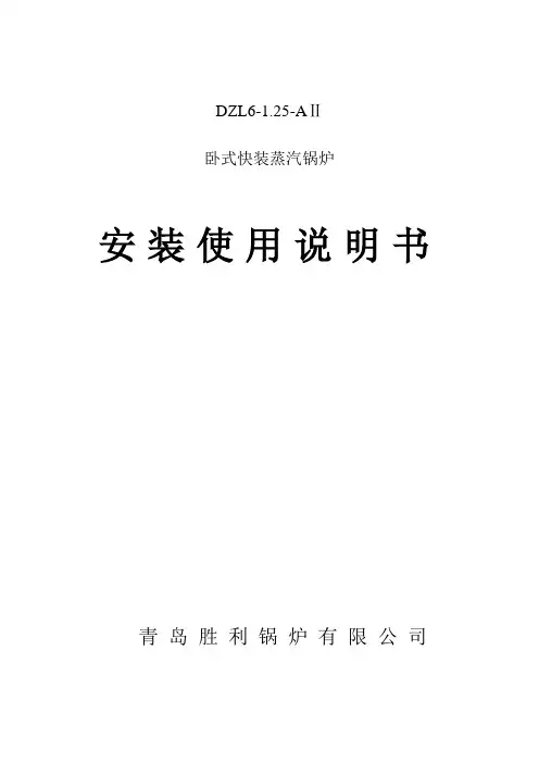 DZL6卧式蒸汽锅炉使用说明书..讲解学习