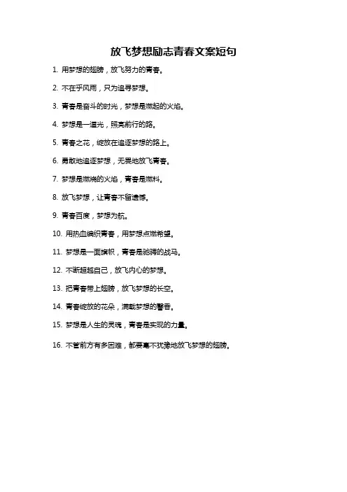 放飞梦想励志青春文案短句