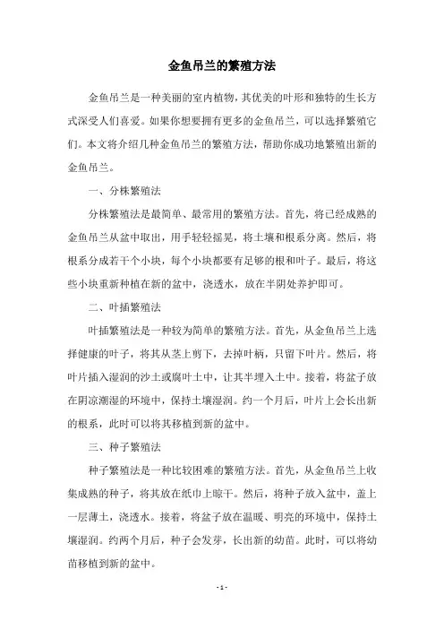 金鱼吊兰的繁殖方法
