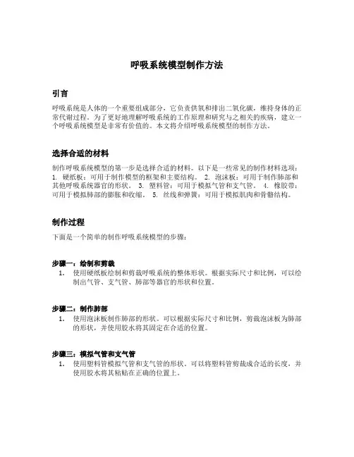 呼吸系统模型制作方法