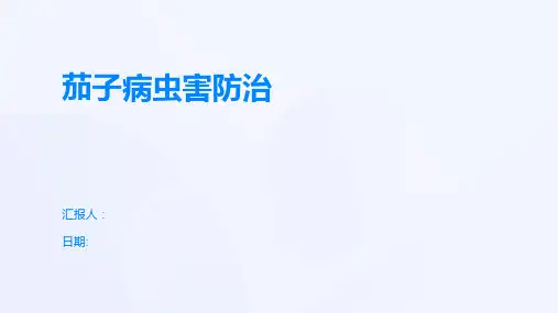 茄子病虫害防治
