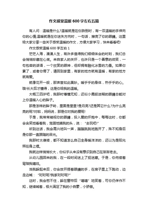 作文感受温暖600字左右五篇