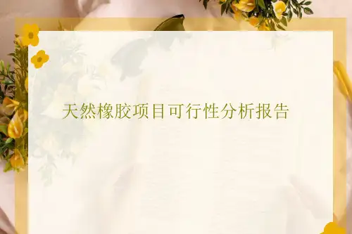 天然橡胶项目可行性分析报告23页PPT