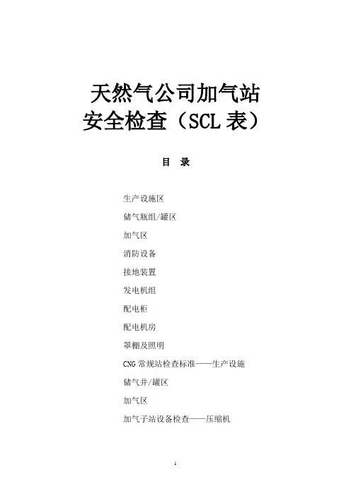 天然气公司加气站安全检查(SCL表)