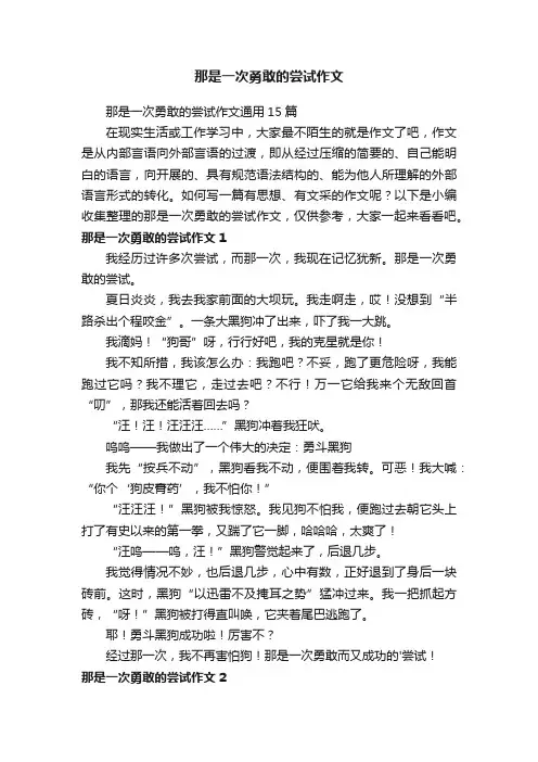 那是一次勇敢的尝试作文