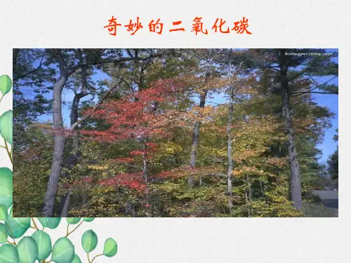 《奇妙的二氧化碳》PPT课件 (公开课专用)2022年沪教版 (7)