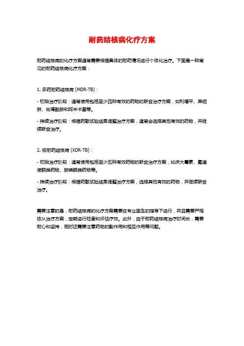 耐药结核病化疗方案