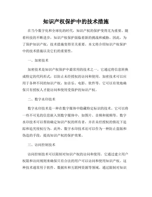 知识产权保护中的技术措施
