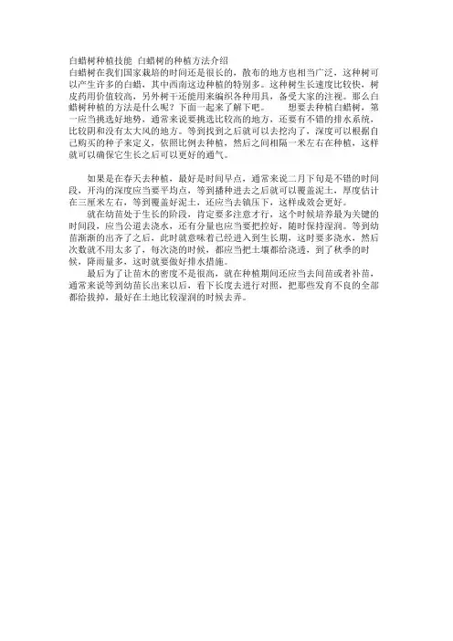 白蜡树种植技巧 白蜡树的种植方法介绍