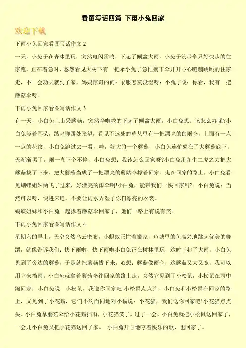 看图写话四篇 下雨小兔回家