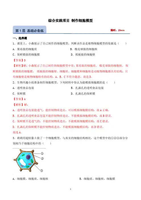 七年级生物上册同步高效课堂(人教版2024)-综合实践项目 制作细胞模型(分层作业)(解析版)28