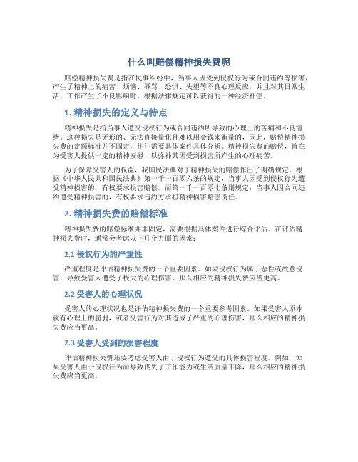 什么叫赔偿精神损失费呢