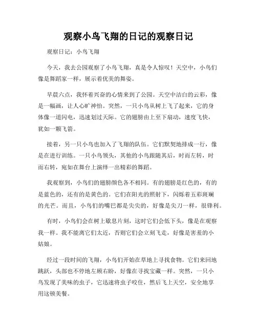 小学三年级作文观察小鸟飞翔的日记的观察日记