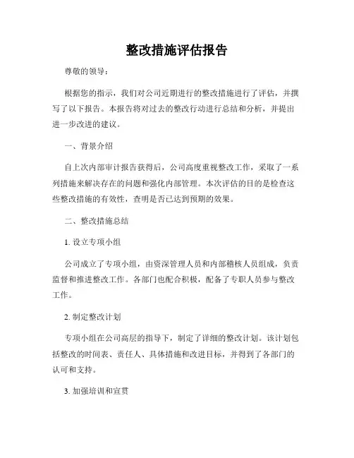 整改措施评估报告