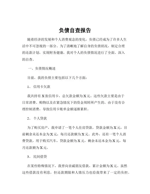 负债自查报告