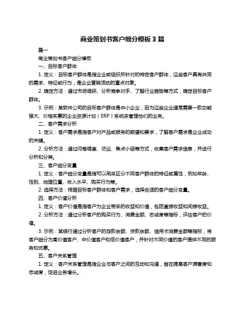 商业策划书客户细分模板3篇