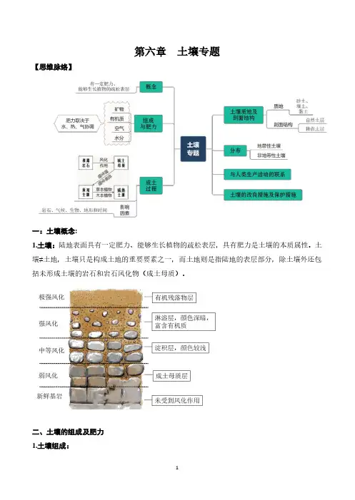 6.1 土壤专题——2021年高考地理复习讲义附真题及解析