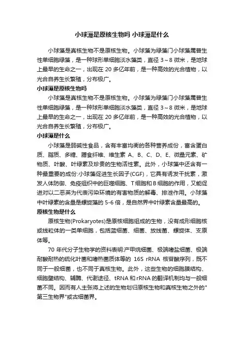 小球藻是原核生物吗小球藻是什么