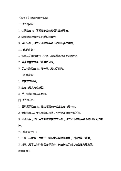 《迎春花》幼儿园春天教案