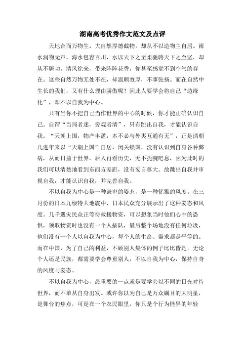 湖南高考优秀作文范文及点评