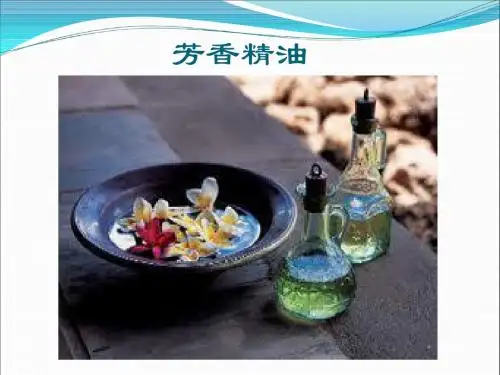 研究有机物一般步骤