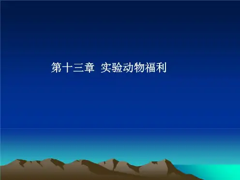 实验动物福利图文(“动物”相关文档)共42张
