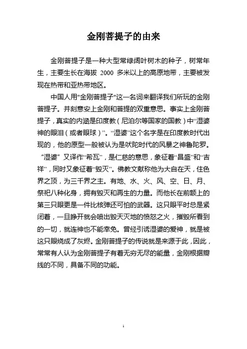 金刚菩提子介绍(已排版)