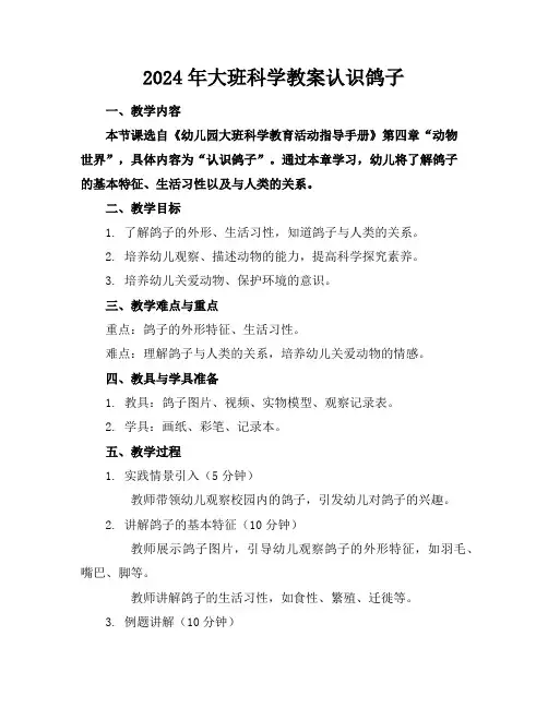 2024年大班科学教案认识鸽子