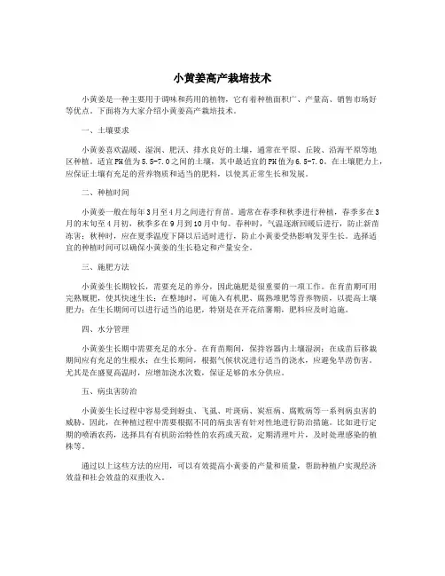 小黄姜高产栽培技术