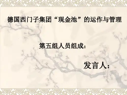 案例十一德国西门子现金池管理