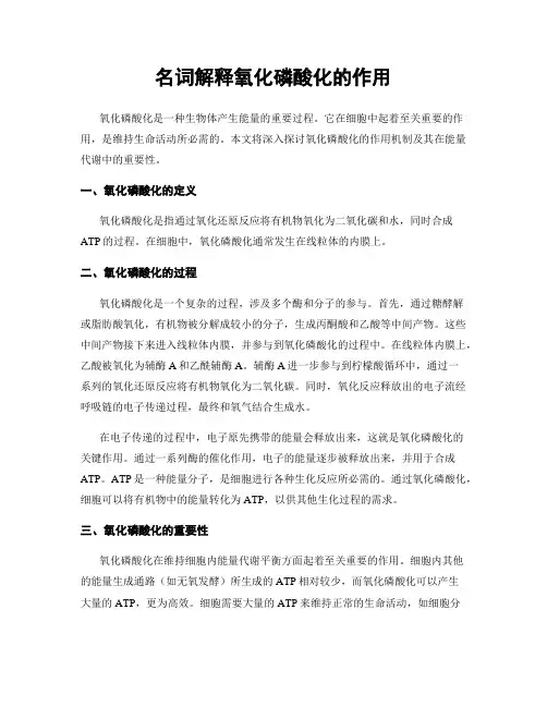 名词解释氧化磷酸化的作用