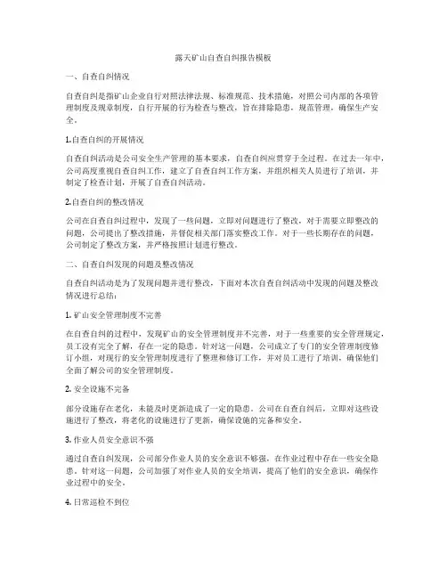 露天矿山自查自纠报告模板