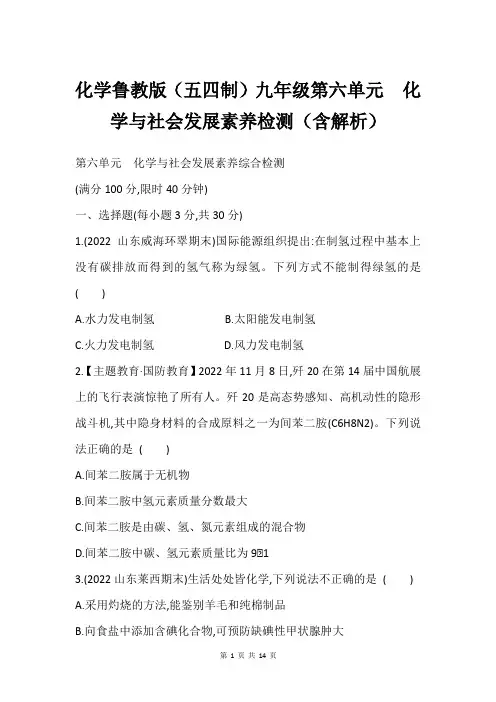 化学鲁教版(五四制)九年级第六单元 化学与社会发展素养检测(含解析)