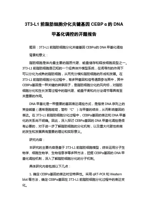 3T3-L1前脂肪细胞分化关键基因CEBPα的DNA甲基化调控的开题报告